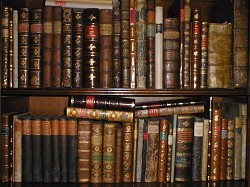 Bibliothek