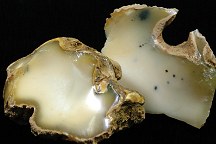 Opal